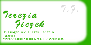 terezia ficzek business card